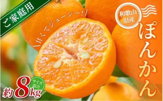 【家庭用】 森本農園の手選別 ポンカン 約8kg 和歌山県産 サイズ混合 【2026年1月上旬～2月上旬頃に順次発送】【mrmt044】 2187648 - 和歌山県由良町