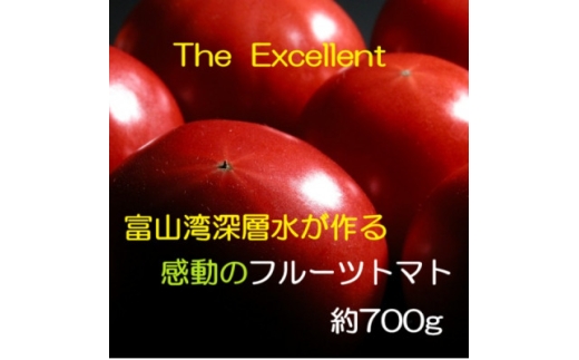 お試しサイズ!フルーツトマト「深層水トマト」約700g【1650498】