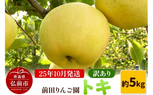 【25年10月発送】りんご【訳あり】トキ 約5kg  前田りんご園【レビューキャンペーン】 2239972 - 青森県弘前市