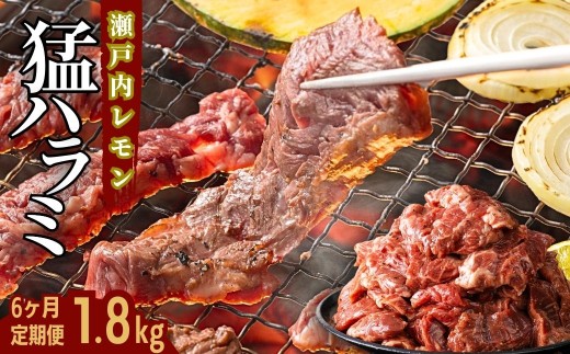 【6ヶ月定期便】牛ハラミ 1.8kg(300g×6パック) 尾野精肉店の牛ハラミ瀬戸内レモン塩だれ 2239875 - 広島県竹原市