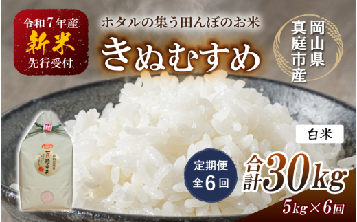 【令和7年産先行予約】＜定期便 全６回＞令和７年新米 真庭市産きぬむすめ 白米 ５kg×６回(定期便) / お米 国産 岡山県 真庭市 白米 米 きぬむすめ キヌムスメ 人気 ブランド米 新米 先行予約 定期便 令和7年産 2025年産