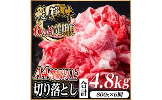 レビューキャンペーン実施中!＜毎月定期便＞飛騨牛 厳選切り落とし 計4.8kg全6回　小分け【4055981】