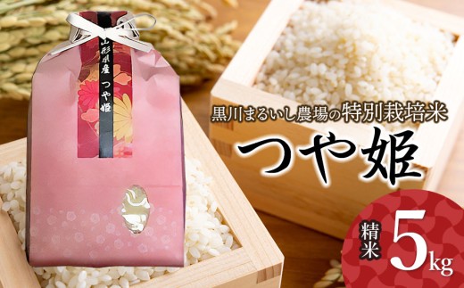 【令和7年産先行予約】 黒川まるいし農場の特別栽培米 つや姫 5kg 山形県鶴岡市産 K-747 2212257 - 山形県鶴岡市