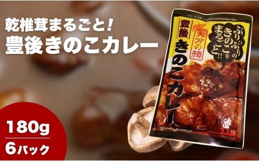 豊後きのこカレー×6 2199160 - 大分県津久見市