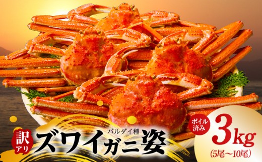 【訳あり規格】バルダイ種 ズワイガニ姿 3kg（5～10尾）【ボイル済み オオズワイガニ かに カニ 蟹 ズワイガニ ファミリー向け】