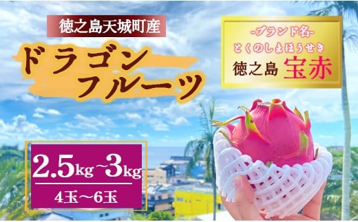 【2025年発送】天城町産 徳之島宝赤 プレミアム ドラゴンフルーツ  赤玉 2.5～3kg(4玉～6玉) トロピカルフルーツ フルーツ 果物 果実 ピタヤ