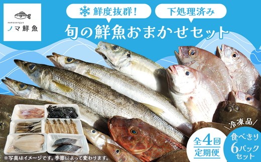 [定期便]鮮度抜群!旬の鮮魚おまかせセット 食べきり6パック セット|定期便 4回 海鮮 鮮魚 魚 下処理済 新鮮 海鮮盛り合わせ 詰め合わせ 人気 おすすめ 愛知県 美浜町 ※北海道・沖縄・離島への配送不可