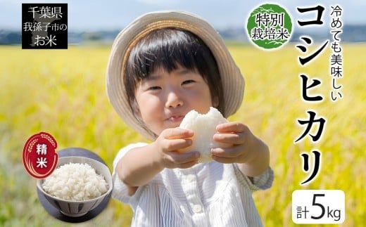 冷めても美味しい 農家直送 千葉県産 特別栽培米 コシヒカリ 5kg 精米 米 白米 ごはん お米 ライス ブランド米 ご飯 和食 お弁当 おにぎり 甘い 国産 コメ おかず 備蓄 お取り寄せ 送料無料 千葉県 我孫子市