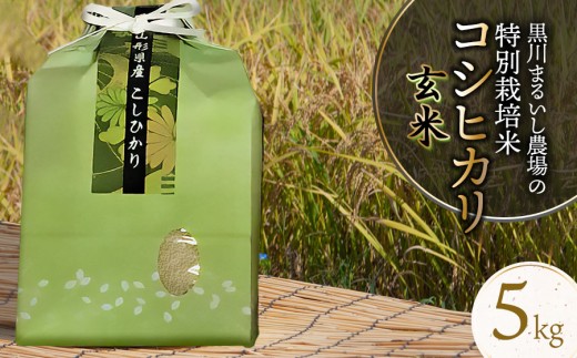 【令和7年産先行予約】 黒川まるいし農場の特別栽培米コシヒカリ玄米 5kg 山形県鶴岡市産 K-740 2209707 - 山形県鶴岡市