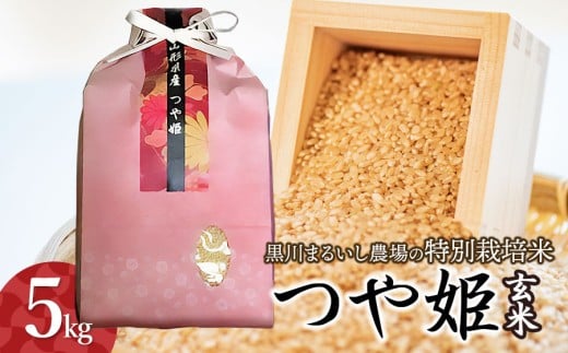 【令和7年産先行予約】 黒川まるいし農場の特別栽培米 つや姫 玄米 5kg 山形県鶴岡市産 K-742 2211802 - 山形県鶴岡市