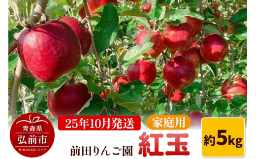 【25年10月発送】りんご【家庭用】紅玉 約5kg  前田りんご園【レビューキャンペーン】 2239973 - 青森県弘前市