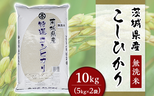 こしひかり 無洗米 10kg 小松崎商事 茨城県産 令和6年 655