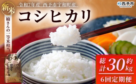 新米 ＜令和7年産 コシヒカリ 約5kg 6回定期便 西予市宇和町産＞ 白米 精米 楠さんの一等米相当 こしひかり お米 コメ こめ 米 ご飯 ごはん 定期便 穀物 ライス 愛媛県 西予市【常温】『2025年9月上旬から順次出荷予定』