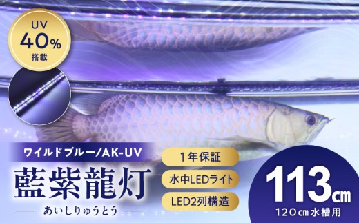 スリム&高耐久!金龍を美しく、UV-Aチップ配合の水中LED|AK-120UV-EX