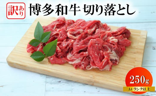 訳あり 黒毛和牛 切り落とし 250g 焼肉 和牛 牛肉 ブランド和牛 スライス 焼き肉 お肉 便利 長期保存 ギフト プレゼント 焼肉 惣菜 BBQ 夕食 福岡 川崎