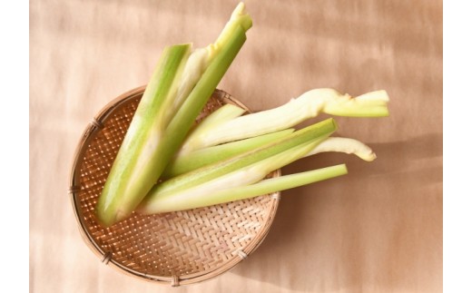 【先行予約・期間限定】季節限定 マコモダケ 1kg 10本程度 まこも マコモ 真菰筍 まこもだけ まこもたけ 新鮮 旬 野菜 送料無料 nc001