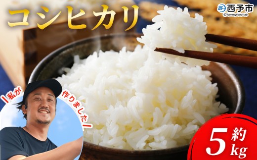 新米＜令和7年産 愛媛県西予市産 コシヒカリ 5kg＞ 5キロ こしひかり 国産 宇和米 お米 コメ ライス こめ ごはん 白米 精米 米 西予応援米 愛媛県産 宇和町産 KAZUファーム 愛媛県 西予市【常温】『2025年10月～12月に順次発送予定』
