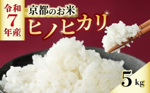 【数量限定】 米 ヒノヒカリ 5kg 京都 減農薬 ひのひかり 白米 お米 ごはん 久御山町 京都府 京都府産 令和7年度 