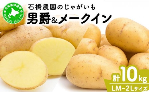  北海道 じゃがいも 2種 男爵 メークイン 食べ比べ セット 各5kg 計10kg LM〜2Lサイズ 先行受付 馬鈴薯 だんしゃく メイクイーン ポテト イモ 根菜 農作物 産地直送