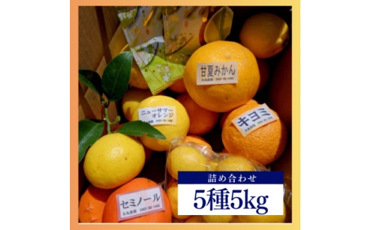 新茶とみかん季節の柑橘詰め合わせ5種5kg一箱でいろんな味が楽しめる農家直送みかんBox[先行受付]