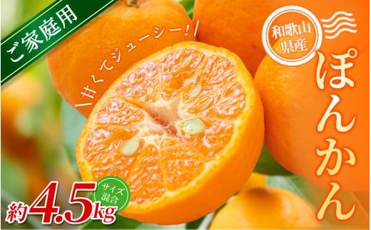 【家庭用】 森本農園の手選別 ポンカン 約4.5kg 和歌山県産 サイズ混合 【2026年1月上旬～2月上旬頃に順次発送】【RN12】【mrmt012】 1448570 - 和歌山県由良町