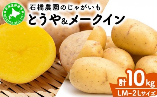  北海道 じゃがいも 2種 とうや メークイン 食べ比べ セット 各5kg 計10kg LM〜2L サイズ 先行受付 馬鈴薯 トウヤ メイクイーン ポテト イモ 根菜 農作物 産地直送