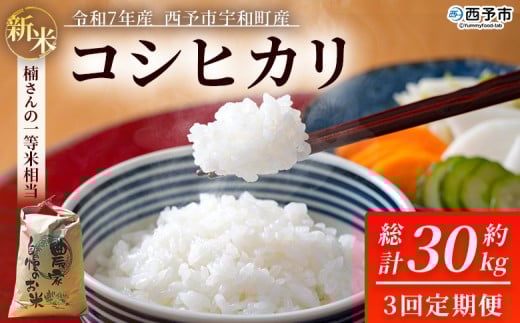 新米 ＜令和7年産 コシヒカリ 約10kg 3回定期便 西予市宇和町産＞ 白米 精米 楠さんの一等米相当 こしひかり お米 コメ こめ 米 ご飯 ごはん 定期便 穀物 ライス 愛媛県 西予市【常温】『2025年9月上旬から順次出荷予定』