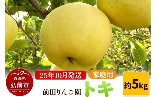 【25年10月発送】りんご【家庭用】トキ 約5kg  前田りんご園【レビューキャンペーン】 2239971 - 青森県弘前市