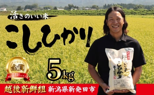【先行予約】金賞米 コシヒカリ 5kg 令和7年産 選べる 配送月 こしひかり 精米 白米 ご飯 おにぎり 弁当 新潟県産 新発田産 新潟 米 お米 こめ 受賞 越後新鮮組 新潟県 米 新潟県 新発田市 shinsengumi001