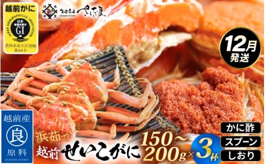 ≪浜茹で≫ 越前 せいこがに 150～200g × 3杯【雌 ズワイガニ】【カニ かに 蟹 越前ガニ セコガニ カニみそ】かに酢・かにスプーン・食べ方のしおり付 【12月発送分】希望日指定可 備考欄に希望日をご記入ください [e04-x033_12] 1433794 - 福井県越前町