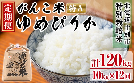 【F7034】＜令和7年産 先行予約！＞《定期便・全12回》田舎塾特別栽培米「がんこ米ゆめぴりか」(10kg×12回・計120kg) 【2025年10月中旬以降順次発送】 米 お米 白米 北海道産 北海道米 ゆめぴりか 特A 一等級 ごはん おこめ コメ 単一原料米 定期便 【田舎塾】