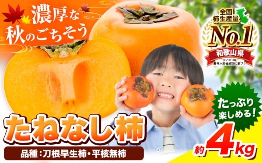 種が無いから食べやすい!たねなし柿(刀根早生柿・平核無柿)約4kg(12〜15玉前後)[先行予約][2025年9月中旬-11月上旬頃出荷] 和歌山県 紀の川市 種なし柿 産地直送 柿 果物 フルーツ 2L〜Mサイズ カキ 10000円 人気 一万円 果物