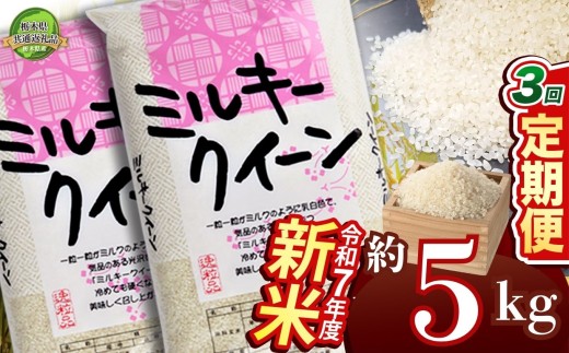 【定期便3回】ミルキークイーン 5kg【栃木県共通返礼品】 | 米 こめ コメ kome 白米 精米 お米  みるきーくいーん ﾐﾙｷｰｸｲｰﾝ Milky queen ミルキークイーン もちもち モチモチ ふっくら もち米風 炊き込み 新米 栃木米 令和7年度米 令和7年度 2025年度米 2025年度 ブランド米 栃木県 特産品 送料無料 栃木県 下野市 しもつけ市