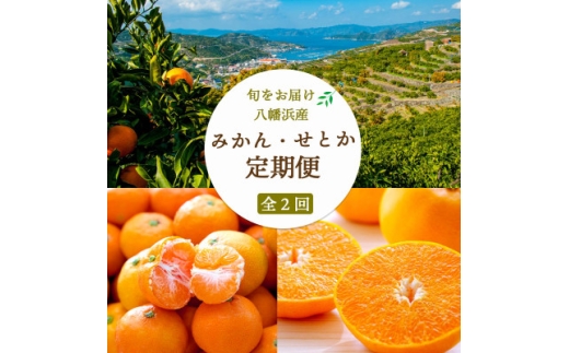 ＜発送月固定定期便＞愛媛みかん 大玉8kg×せとか3kg 定期便 ＜訳あり＞＜G25-260＞全2回【4071213】