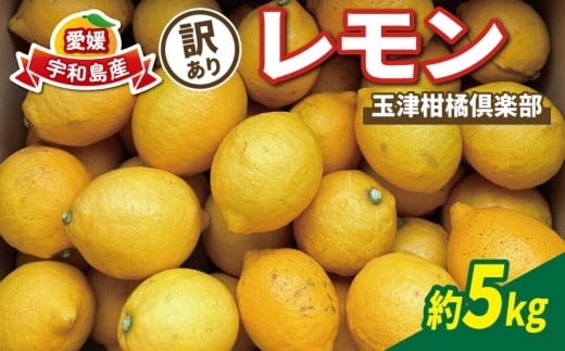 訳あり レモン 約5kg 玉津柑橘倶楽部 先行予約 サイズ 不揃い 訳アリ れもん 檸檬 remon 酸味 爽やか 果実 サワー ジュース チューハイ 果物 くだもの フルーツ 柑橘 愛媛蜜柑 愛媛みかん わけあり 訳あり品 産地直送 数量限定 国産 愛媛 宇和島 B010-072045 2268667 - 愛媛県宇和島市