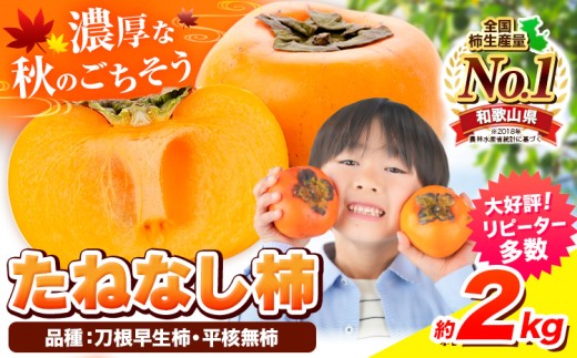 種が無いから食べやすい!たねなし柿(刀根早生柿・平核無柿)約2kg(9〜12玉前後)[先行予約][2025年9月中旬-11月上旬頃出荷] 和歌山県 紀の川市 種なし柿 産地直送 柿 果物 フルーツ 2L〜Mサイズ カキ