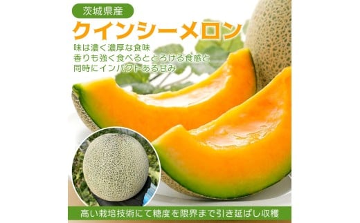 2026年先行予約！【発送5月下旬～】濃厚な甘さとジューシーな果肉！クインシー メロン 1玉 めろん 赤肉 人気 おすすめ クインシー 甘い フルーツ 濃厚 くだもの  自家栽培 めろん 贈答用 贈り物 プレゼント  内山農園 茨城県 鉾田市