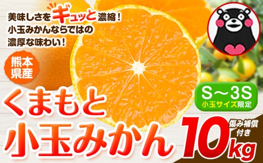 訳あり みかん 小玉みかん くまもと小玉みかん 10kg 秋 旬 不揃い 傷 ご家庭用 SDGs 小玉 たっぷり 熊本県 産 S-3Sサイズ フルーツ 旬 柑橘 熊本県産 温州みかん《1月中旬-2月中旬頃出荷》 2245271 - 熊本県玉東町