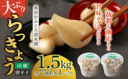らっきょう 1.5kg(胡椒750g・山椒750g) [築上町][寒田おふくろ漬本舗] [ABDO005] 10000円