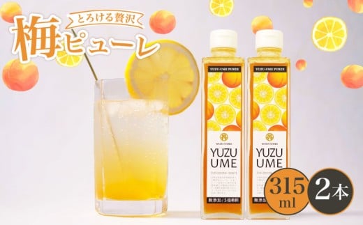 京都丹波 無添加 完熟梅 × 柚子梅ピューレ YUZUUME 2本セット 315ml×2本 ( 5倍希釈 フルーツ 果物 梅 うめ 柚子 ゆず 柑橘 ジュース シロップ 贈り物 割材 炭酸割 お酒割 焼酎 ヨーグルト カクテル 京都府 丹波 完熟梅 果肉 )