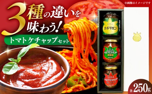 ケチャップセット3種 [リサトマトケチャップ・リサケチャップブラック・大人のナポリタン]各250g / ケチャップ セット リサトマト トマト ナポリタン 調味料 とまと 高知[株式会社 堀] [ATDA009]