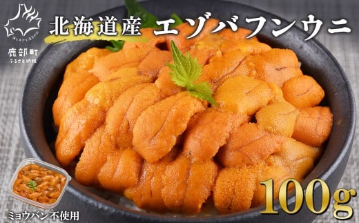 [順次発送]北海道産 ふり塩うに 100g ミョウバン不使用 うに エゾバフンウニ バフンウニ 冷凍保存 うに丼