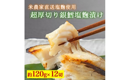 超厚切り銀鱈塩麹漬 12切入 ※北海道・青森・九州・沖縄・離島への配送不可