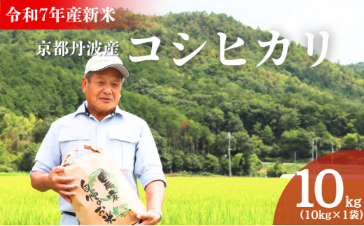 [№5334-0655]令和7年産新米 京都丹波産コシヒカリ 10kg　米 こしひかり 精米 白米  2235944 - 京都府南丹市