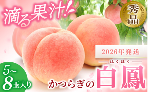 ☆2026年先行予約☆ 和歌山県産 白鳳 桃 5～8玉入り 秀品 先行予約【2026年6月下旬から7月下旬ごろ発送】/ かつらぎ町 和歌山県産 桃 モモ 白鳳 フルーツ 果物 くだもの 人気 産地直送 厳選 甘い 予約