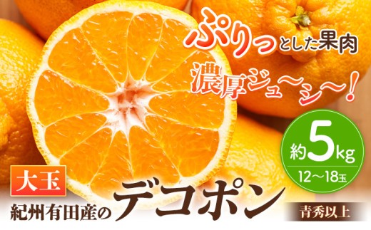 ＜先行予約＞【お味濃厚】紀州有田産の大玉デコポン約5kg(12玉～18玉入り・青秀以上) 厳選館 《2026年1月中旬-3月下旬頃出荷》和歌山県 日高川町 デコポン でこぽん 柑橘 不知火 しらぬい 大玉 送料無料