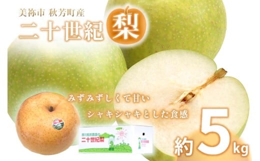 美祢市秋芳町産 二十世紀梨 （ 約5kg ）【先行予約：9月より発送予定】｜ 二十世紀  なし 梨 フルーツ 大きい BIG サイズ 特産品 美祢市 美祢 山口県 山口 秋芳町 秋芳 カルスト台地 先行予約 1018477 - 山口県美祢市