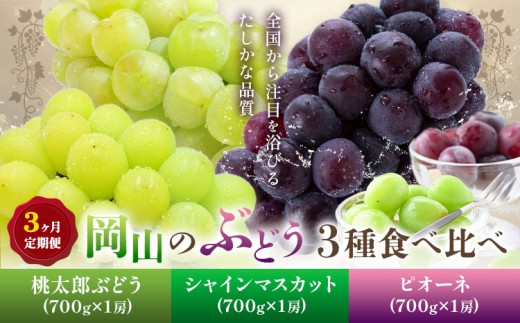 [2026年発送先行予約]ぶどう 3ヶ月 定期便 岡山 の ぶどう 3種 食べ比べ 各700g 計2.1kg 晴れの国おかやま館(漂流岡山)[2026年8月中旬-10月中旬頃出荷]岡山県 笠岡市 桃太郎ぶどう シャインマスカット ピオーネ 果物 フルーツ 送料無料[配送不可地域あり](離島)