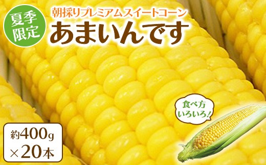 夏季限定 朝採り プレミアムスイートコーン 「あまいんです」 20本 約8kg | 激甘 フルーツとうもろこし 産地直送 ※沖縄・離島への配送不可 2239832 - 福島県猪苗代町