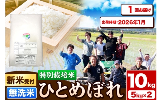 《新米受付》令和7年産【無洗米】特別栽培米 ひとめぼれ 10kg（5kg×2袋）秋田県産【2026年1月出荷】 2239012 - 秋田県由利本荘市